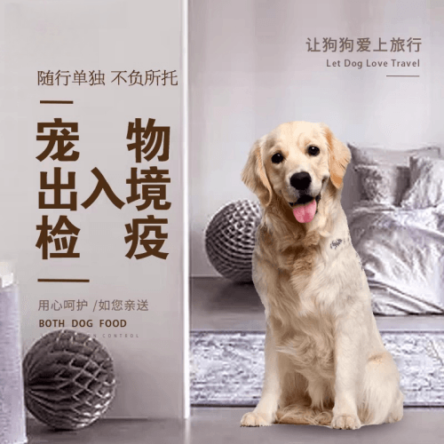 澳门特别行政区宠物托运到哥伦比亚猫狗宠物入境规定和