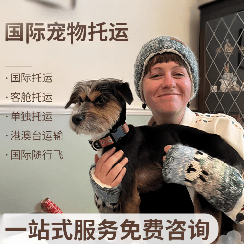 澳门特别行政区国际宠物托运到阿根廷宠物入境规定和要