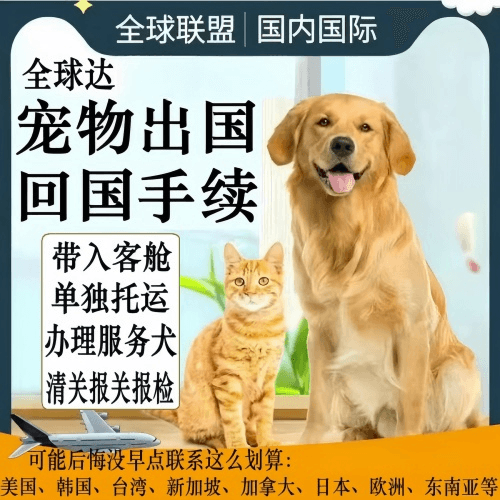 澳门特别行政区宠物托运到柬埔寨宠物入境规定和要求