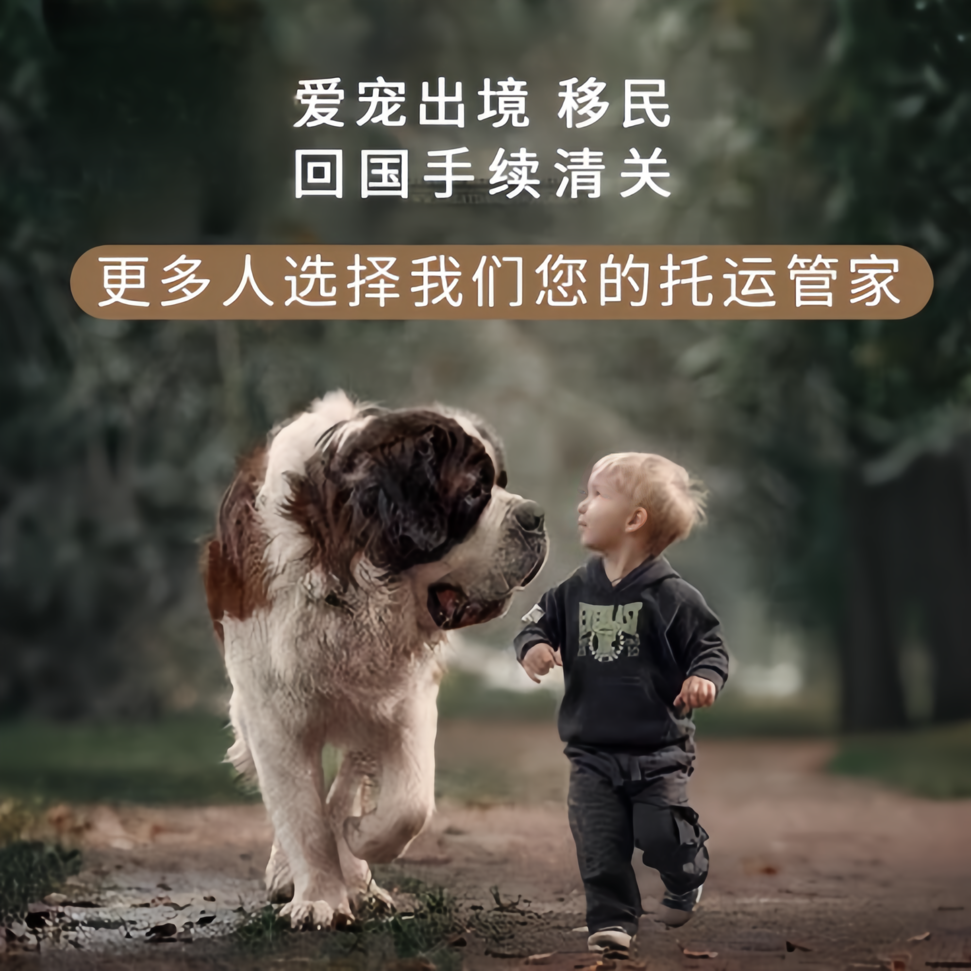 满财澳门特别行政区宠物全球达宠物托运在遵守入境目的地政策的条件